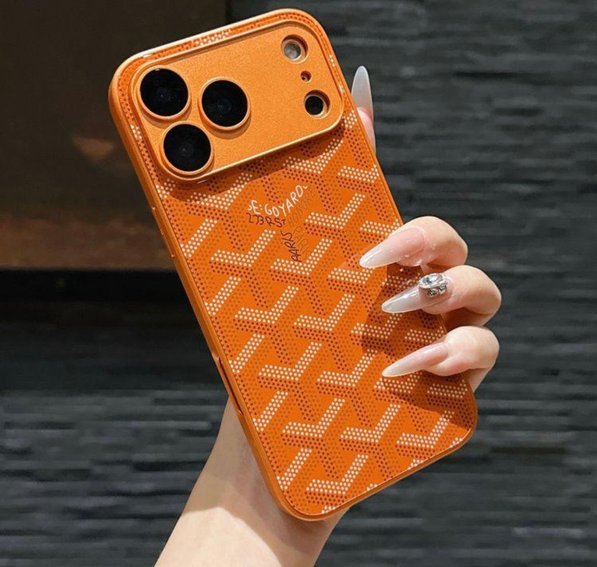 Goyard Cases